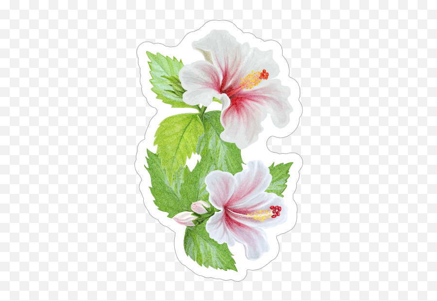 Beautiful Hibiscus Flower Sticker - Hawaiian Hibiscus Emoji,Hibiscus Emoji
