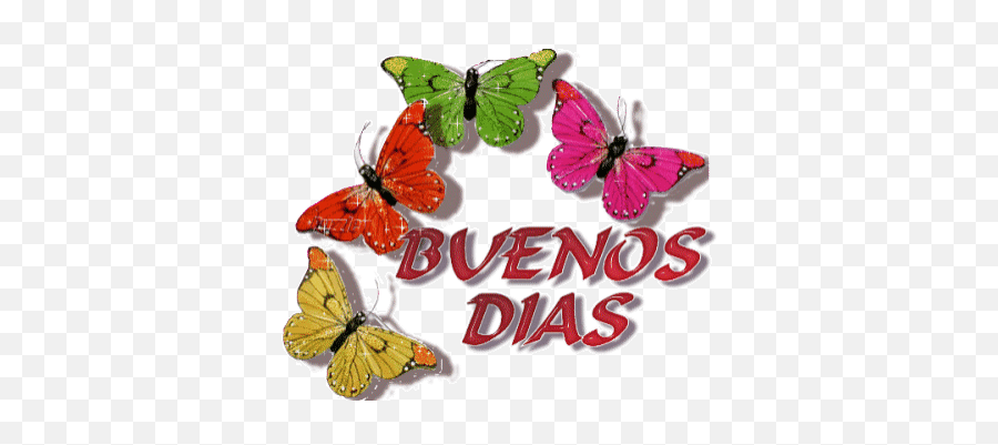 Top Export Messages From Iphone Stickers For Android U0026 Ios - Buenos Dias Gif Butterflies Emoji,Butterfly Emoji Iphone