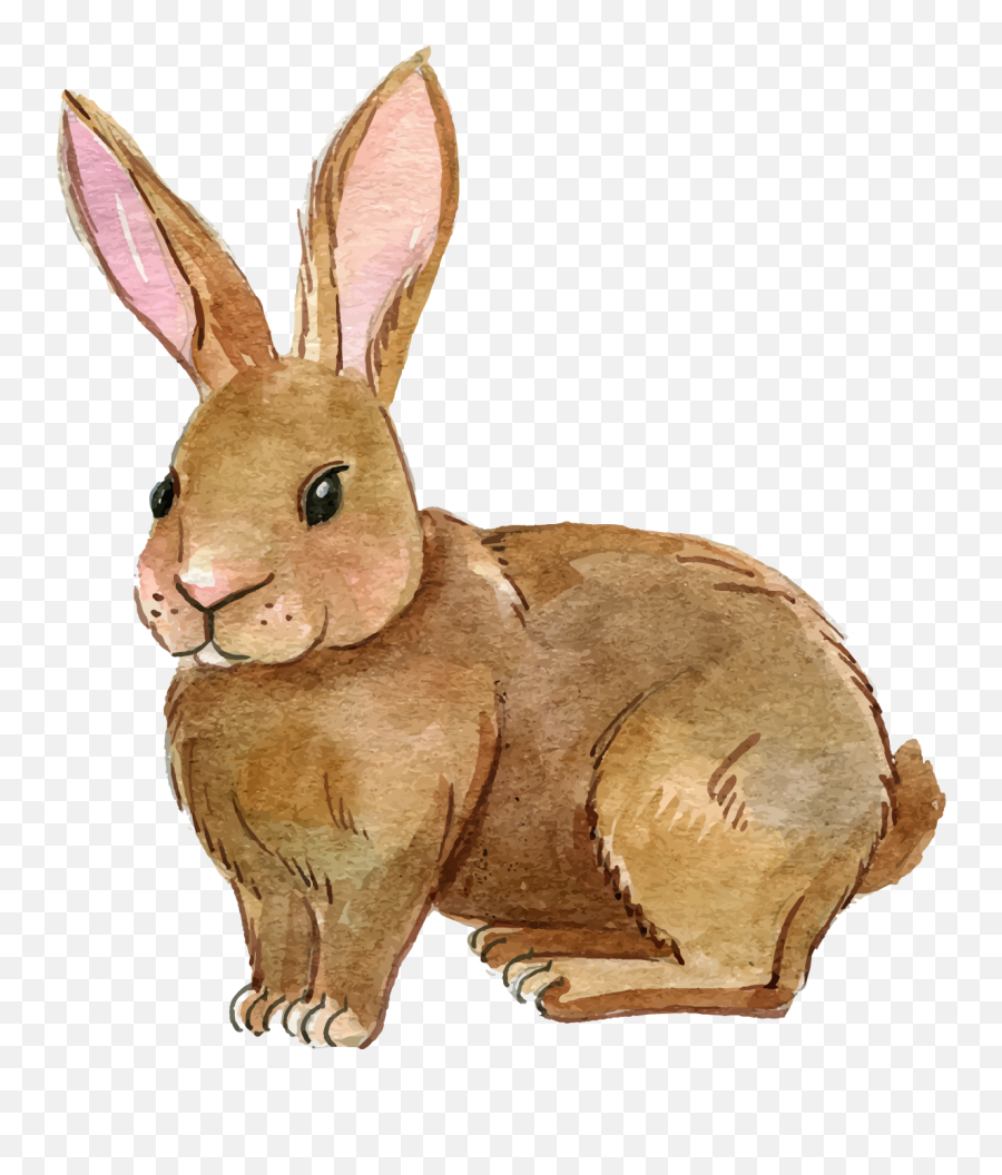 Rabbit Png Transparent Free Images Png Only - Rabbit Png Clipart Emoji,Emoji Rabbit