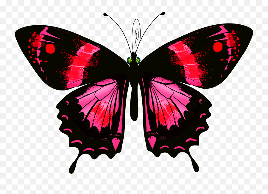Pe Clipart Butterfly Pe Butterfly Transparent Free For - Transparenter Hintergrund Transparente Cliparts Emoji,Butterfly Emoji