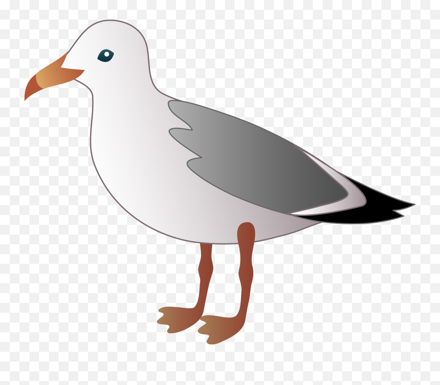 Open Mouth Transparent Png Clipart - Seagull Clipart Png Emoji,Seagull Emoji