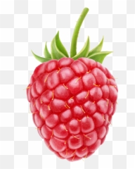 raspberry emoji iphone