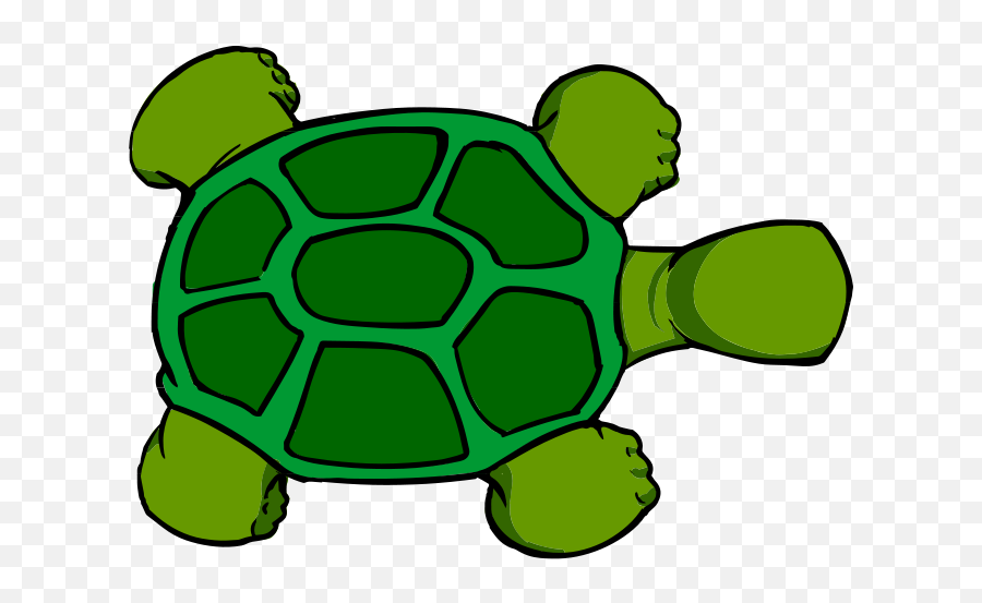 Kturtle Top View - Cartoon Turtle Top View Emoji,Turtle Bird Emoji