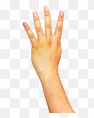 Arm Hand Fingers Hair Nails Palm - Transparent Background Emoji