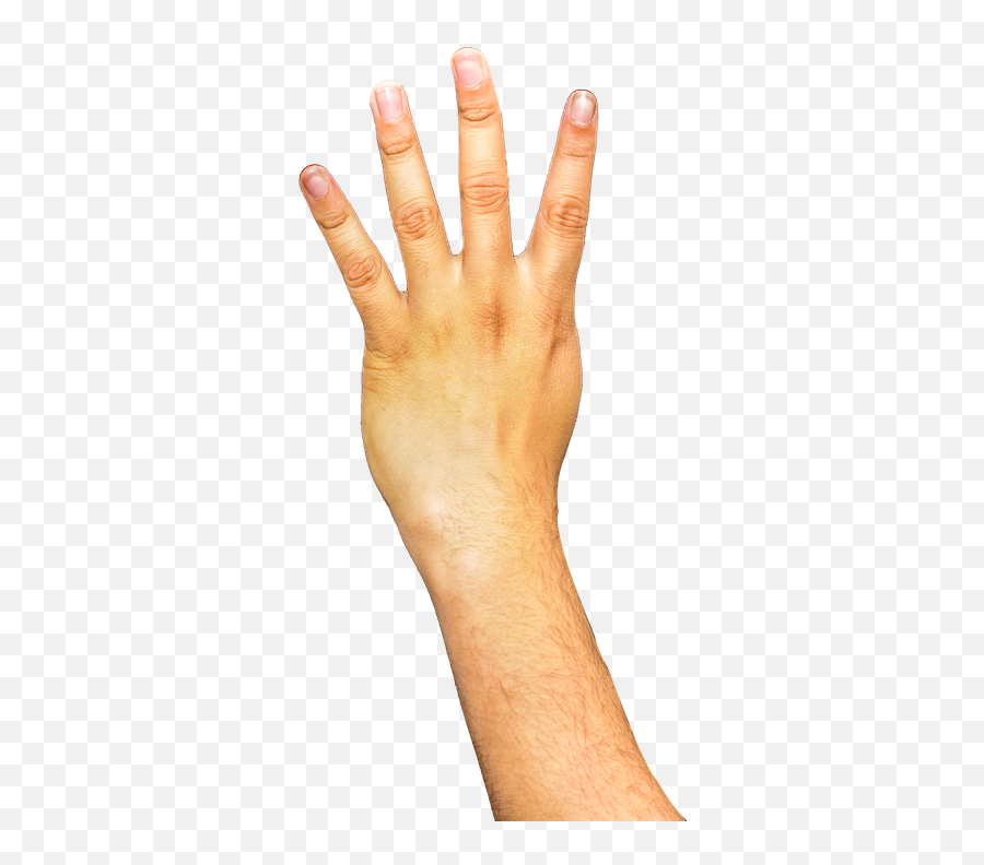 Arm Hand Fingers Hair Nails Palm - Transparent Background Arm Transparent Emoji,Hand Palm Emoji