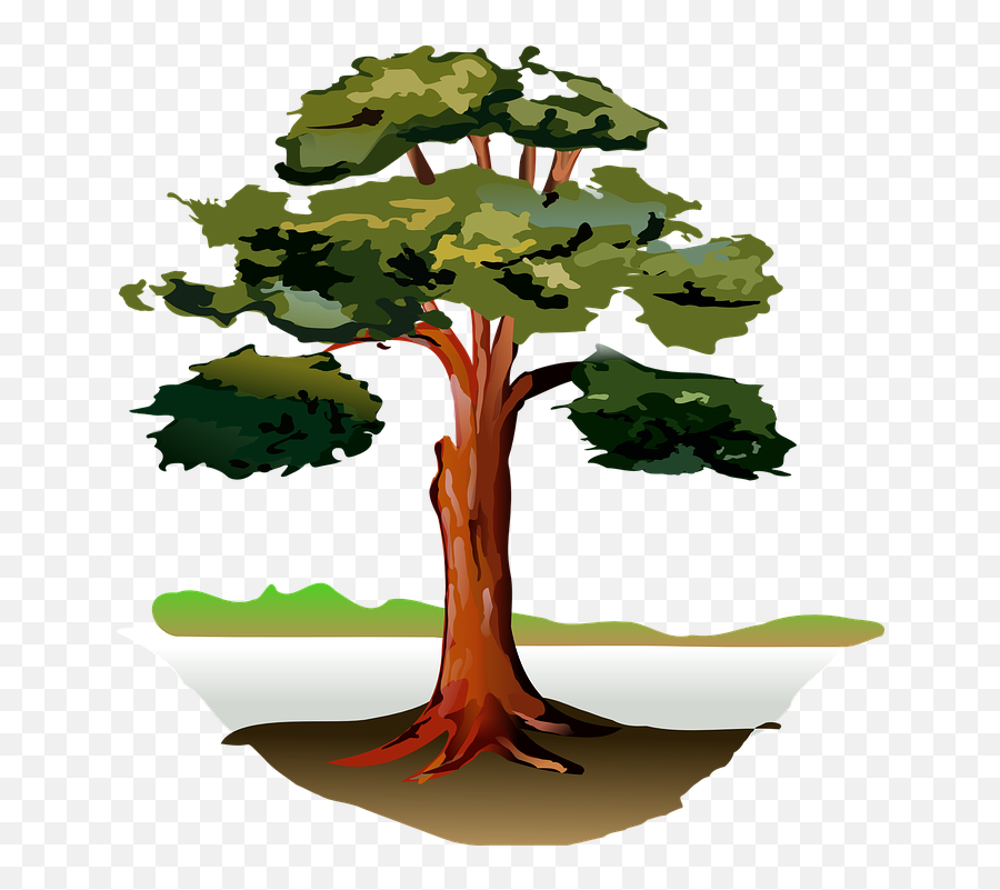 Free Oak Tree Vectors - Eucalyptus Tree Clip Art Emoji,Maple Leaf Emoticon