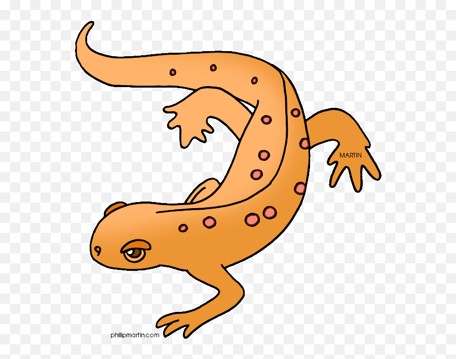 Newt Clip Art Use These Free Images For Your Websites Art - Amphibian Clipart Emoji,Salamander Emoji
