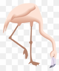 Free Down Arrow Vectors - Flamingo Bending Down Emoji,Bullet Emoticon