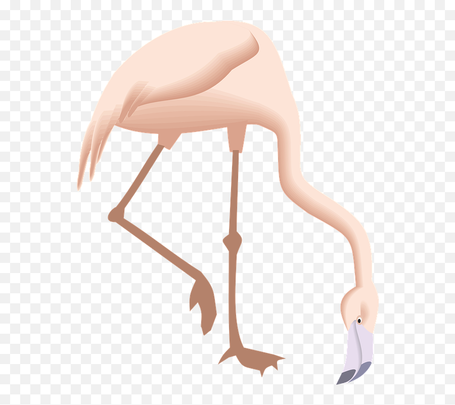 Free Down Arrow Vectors - Flamingo Bending Down Emoji,Bullet Emoticon