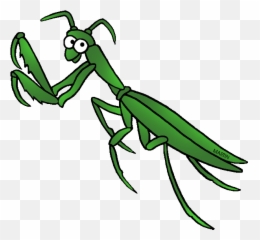 Praying Mantis Clipart Look At Clip - Praying Mantis Clipart Emoji,Praying Mantis Emoji