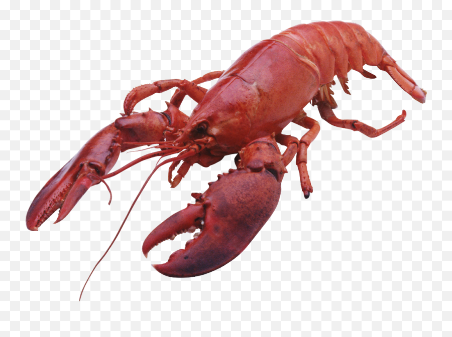 Crab Lobster Red - Transparent Crayfish Emoji,Lobster Emoji