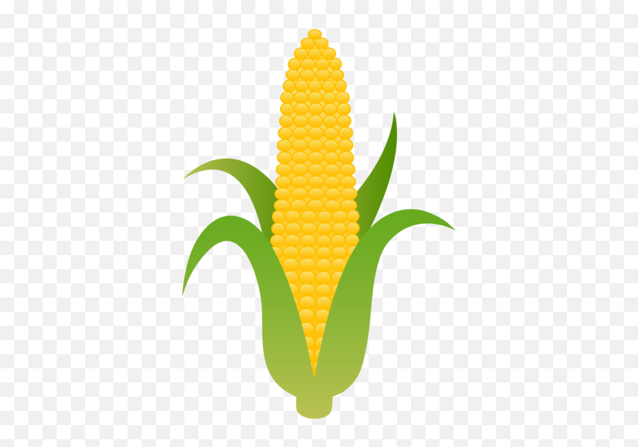 Large Husk Of Golden Corn - Corn Clipart Emoji,Emoji Corn