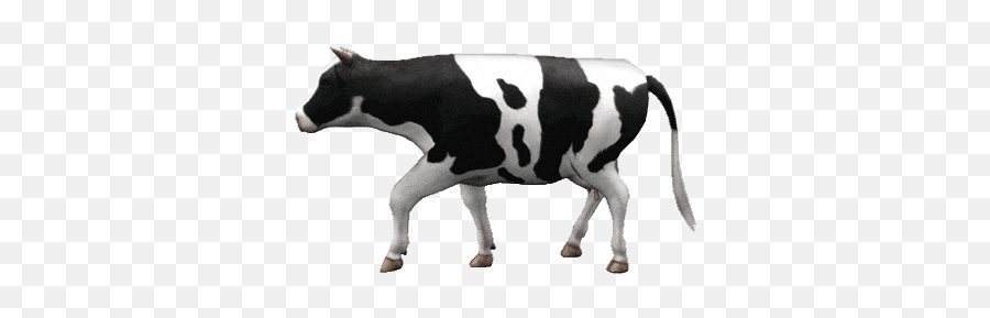 Top Milk Cow Stickers For Android U0026 Ios Gfycat - Transparent Cow Walking Gif Emoji,Milk Emoji