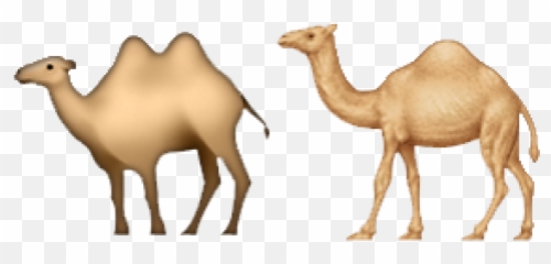 Americas Favorite Emojis Are