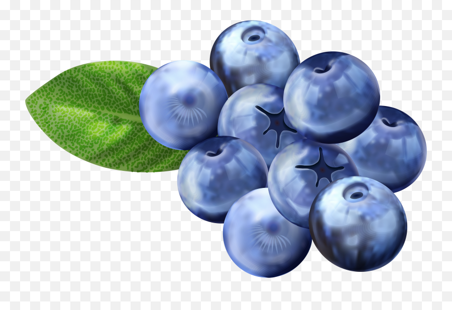 Blueberries Clipart Blueberries - Blueberries Clipart Transparent Emoji,Is There A Blueberry Emoji
