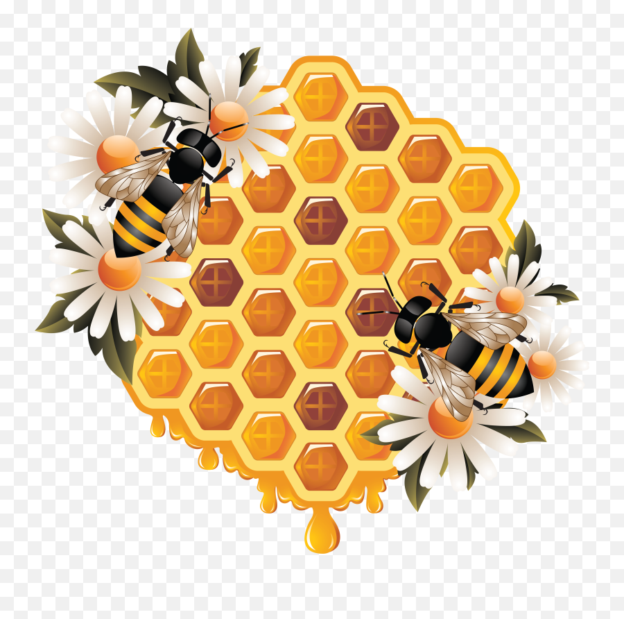 Honey Png Image Free Download - Honey Bee Hive Drawing Emoji,Honeycomb Emoji