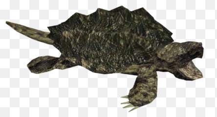 Download Snapping Turtle Picture Hq Png Image - Snapping Turtle Clip Art Emoji,Snapping Emoji