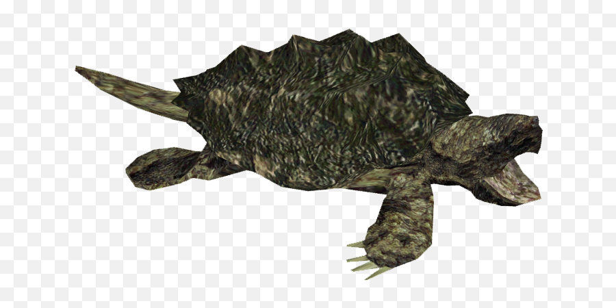 Download Snapping Turtle Picture Hq Png Image - Snapping Turtle Clip Art Emoji,Snapping Emoji