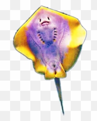 Remixit Stingray Raya Fish Sticker - Skate Emoji,Stingray Emoji