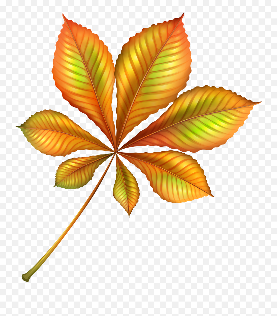 120 Best Paint Shop Pro Images In 2020 Paint Shop Autumn - Beautiful Leaf Clip Art Emoji,Fallen Leaf Emoji