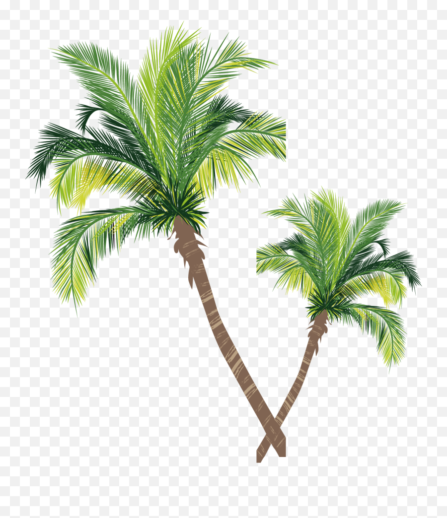 Tree Euclidean Vector Palm Asian - Coconut Tree Vector Free Download Emoji,Palm Tree Emoticons