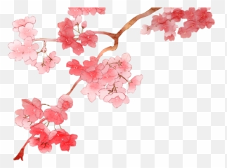 Cherry Blossom Clipart Png - Anime Emoji