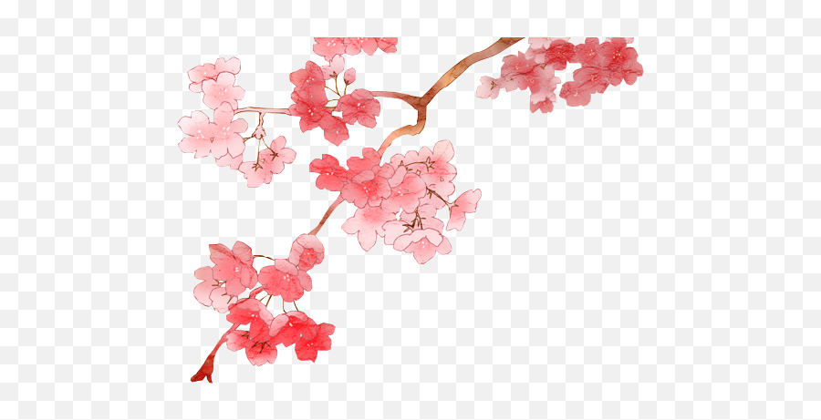 Cherry Blossom Clipart Png - Anime Cherry Blossom Png Emoji,Cherry Blossom Emoji