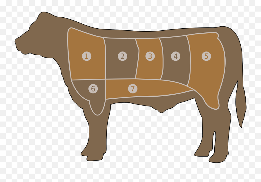 Meat Chart Beef Butcher Cow Steak - Outline Of Beef Cuts Emoji,Roast Hand Emoji