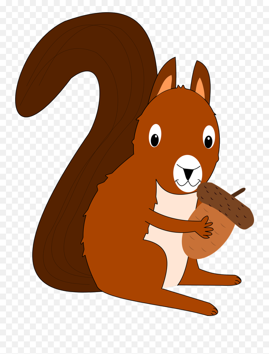 Forest Squirrel Acorn Forest Animal - Png Emoji,Squirrel Emoji