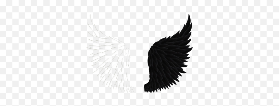 Wings Png And Vectors For Free Download - Dlpngcom Black And White Wings Emoji,Angel Wing Emoji