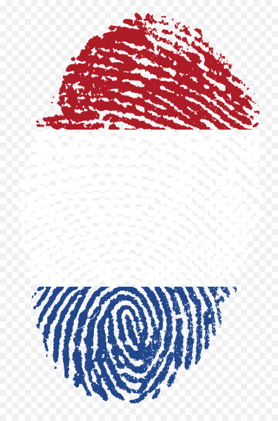 Netherlands Flag Fingerprint Country - Challenges Of Digital India ...