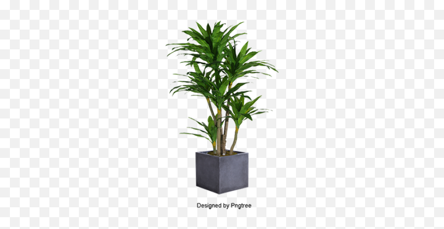 Plant Png And Vectors For Free Download - Plant With Pot Png Emoji,Potted Plant Emoji