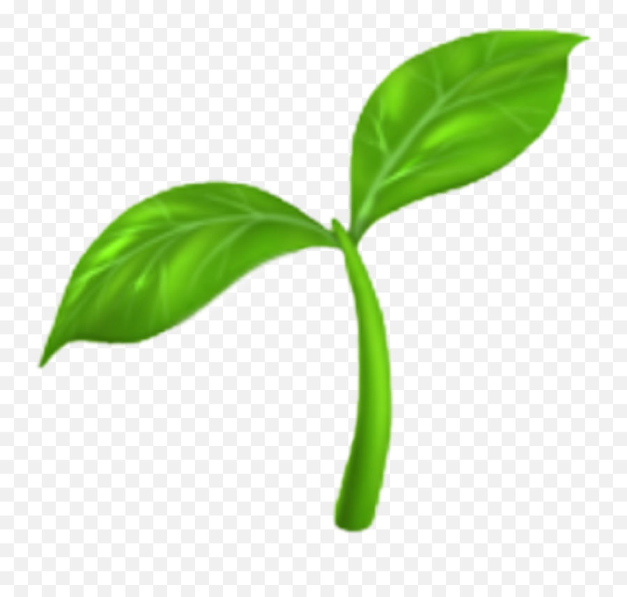 Iphone - Seedling Emoji Png,Plant Emoji