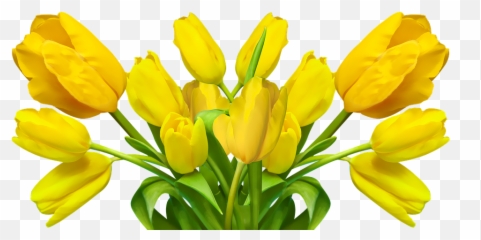 Free Federal Government Government Images - Tulipani Gialli Png Emoji,Shake My Head Emoji