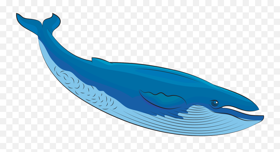 Blue Whale Clipart - Blue Whale Emoji,Whale Emoji Text
