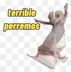 Iguana Y Perro Stickers For Whatsapp - Animal Figure Emoji,Iguana Emoji