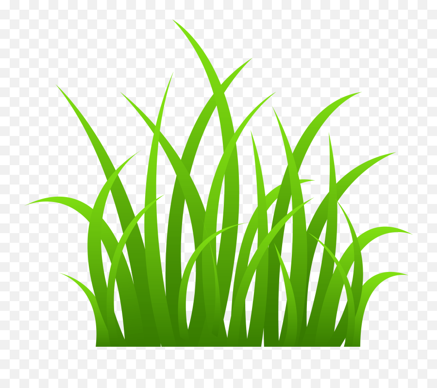 Grass Png Image Green Grass Png Picture - Grass Clipart Emoji,Grass Emoji