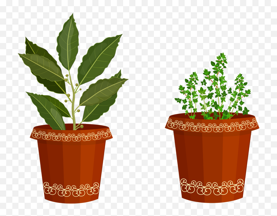 Plant Potted Plant Transparent - Flowerpot Emoji,Potted Plant Emoji