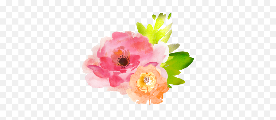 Flower Png And Vectors For Free Download - Dlpngcom Water Color Flower Clip Art Emoji,Daffodil Emoji