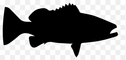 Library Of Grouper Fish Clipart Freeuse Png Files - Bat Clipart Halloween Emoji,Catfish Emoji