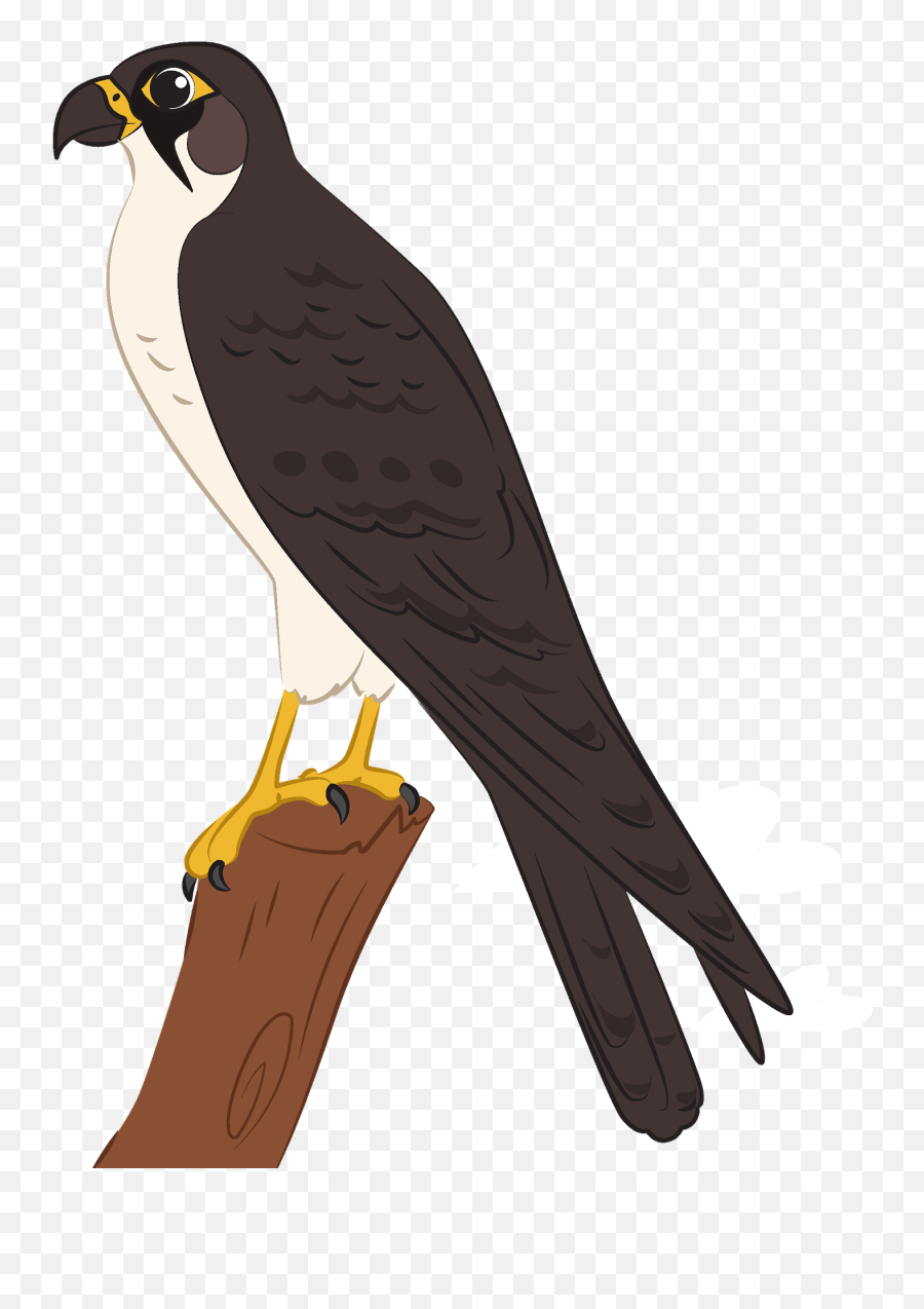 Falcon Clipart - Falcon Emoji,Falcon Emoji