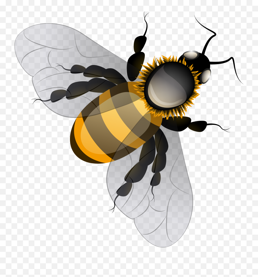 Emoji Clipart Bee Emoji Bee - Clip Art Bee Png,Bumble Bee Emoji