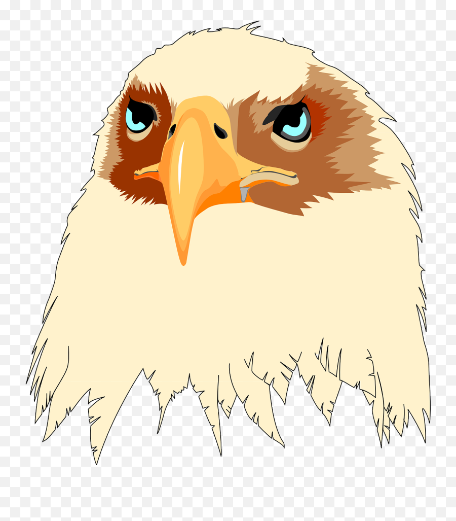 Head Eyes Eagle Tan Bird - Bald Eagle Emoji,Skull And Eyes Emoji