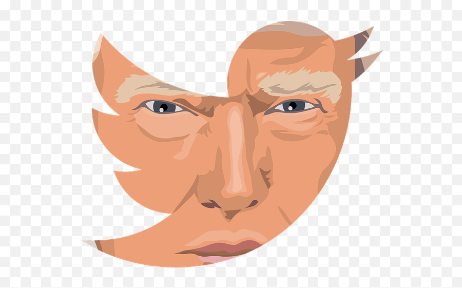 100 Unique Images Of President Donald Trump Mypritam - Twitter Png Emoji,Donald Trump Emoji