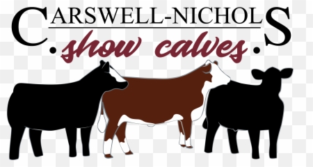 Dairy Cattle Hereford Cattle Sheep - Transparent Show Cow Silhouette Emoji,Cow And Man Emoji