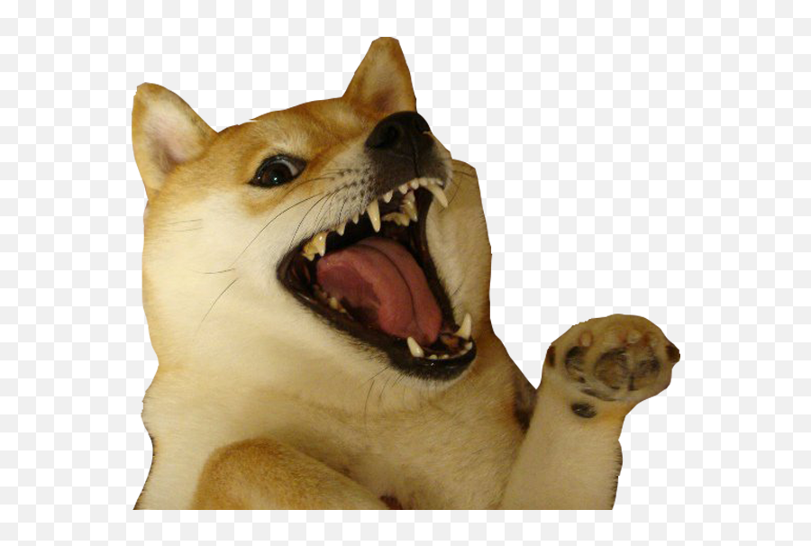 Shiba Dogu0027s Head By Seng Hoong Lim - Pet Dog Png Gif Emoji,Doge Emoji