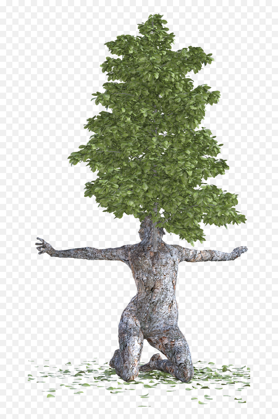 Evergreen Tree Bark - Wood Emoji,Evergreen Emoji