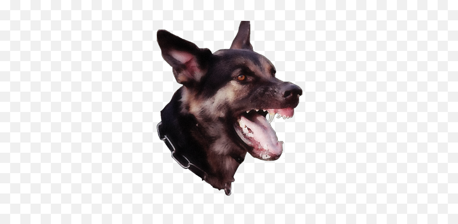 Barking Dog Barkingdog Darkaesthetic - Northern Breed Group Emoji,Barking Dog Emoji