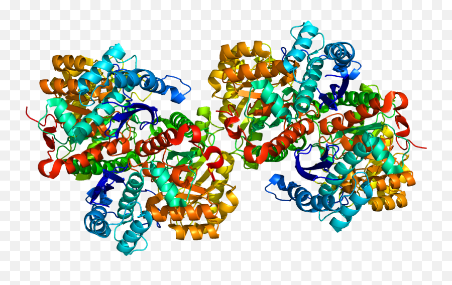 Protein Eno1 Pdb 2psn - Alpha Enolase Structure Emoji,Tie Dye Emoji
