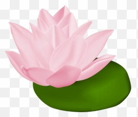 Pink Water Lily Transparent Png Clip Emoji,Lily Pad Emoji